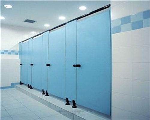 資陽(yáng)復(fù)合板衛(wèi)生間隔斷工程